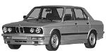 BMW E28 P191B Fault Code