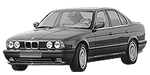 BMW E34 P191B Fault Code